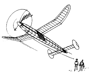 2 guys flying gollywok300