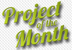 Project of the month 300