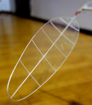 Evan Guyett's F1D 2017 propeller tip 300