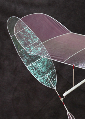 Evan Guyett's F1D no-spar propeller 300