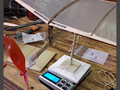 FEBRUARY 2022 CASEY’S (KC’S) Free Flight BLOG&nbsp;Post