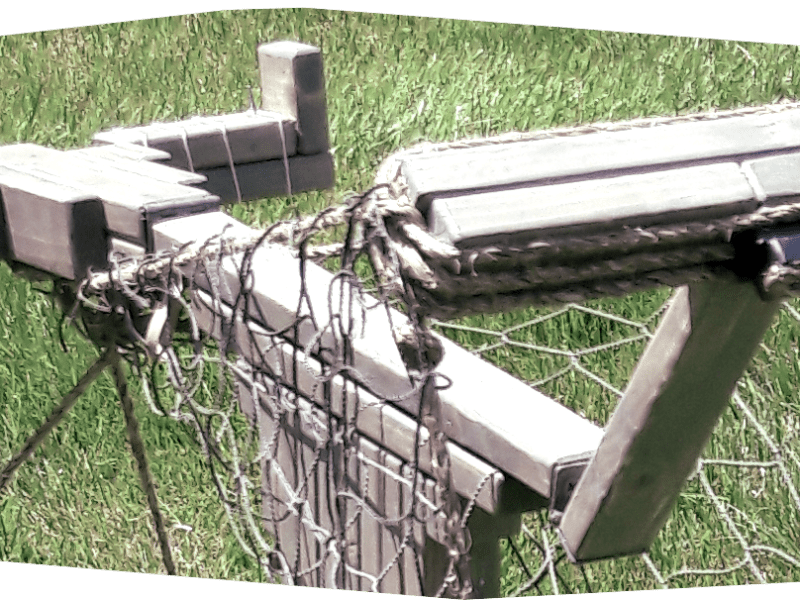 JUNE 2022 CASEY’S (KC’S) Free Flight BLOG&nbsp;Post